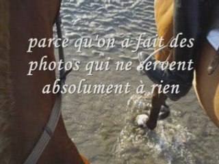 deauville avec les juments