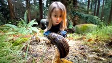 Parents Catch Their Little Girl Befriending Giant Slug