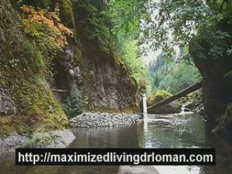 Chiropractic Clinics In Naples