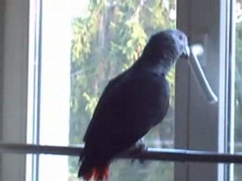 CLIP0032
