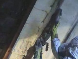 Spray Seal Promo Video - Insulation & Roofing Specialists