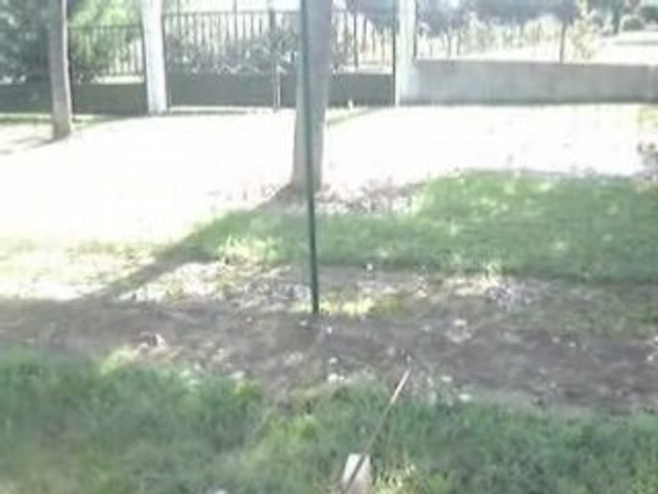 Athos en pleine éffOrt