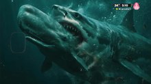 ¿El megalodón existe bajo las profundidades del océano?