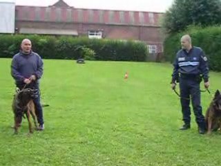 urjex et aztec deux potes