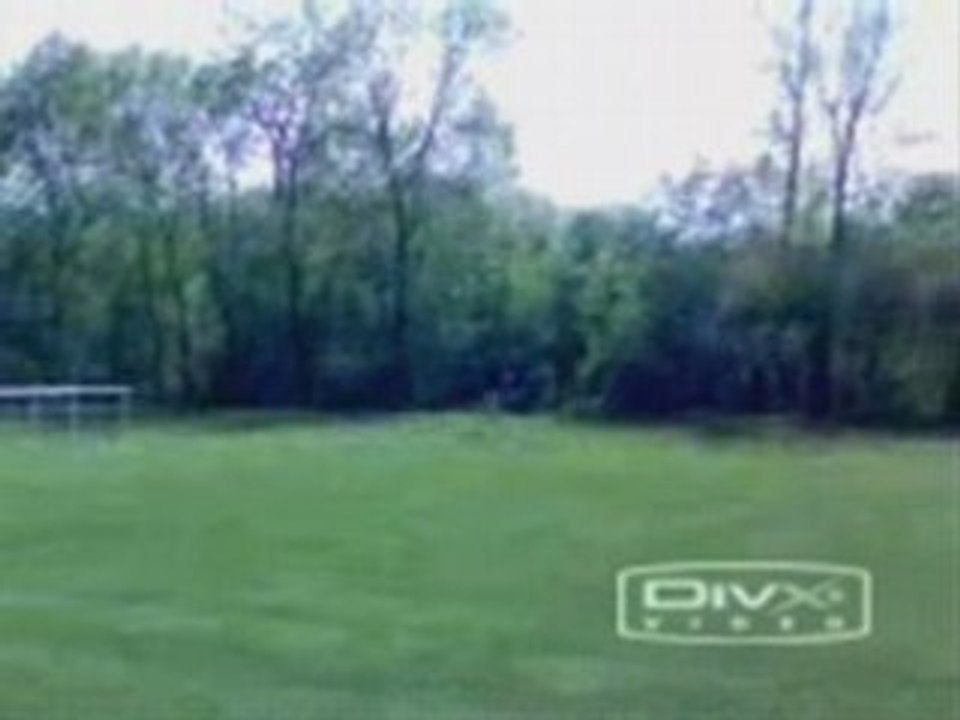 Cedric aka Pauleta !