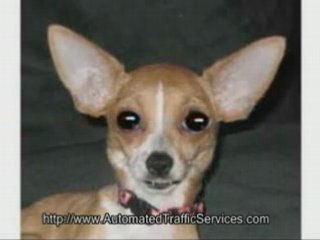 Getting on Search Engines Easily