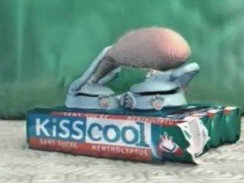 Pub Kiss Cool - le nez
