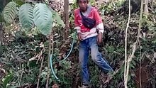 Mauketawa