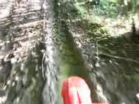 xps réplica CR kit 75cc top rose dans les bois 2