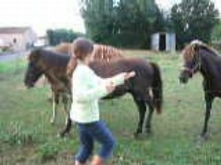 Débourage poneytte 1212