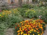 Vidéo de la visite du jardin, présenté par Cyril Treveys