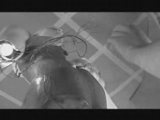 Grizzly Bear Video - "Fix It"