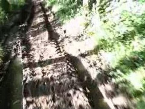 xps réplica CR kit 75cc top rose dans les bois 4