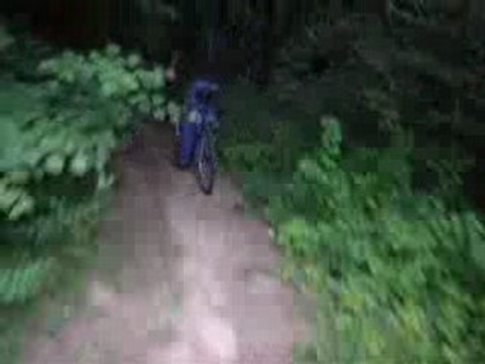 DSCN2626