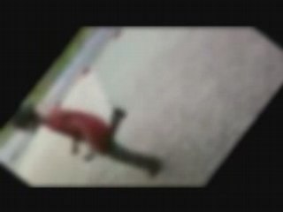 Nathan New Tek Styled