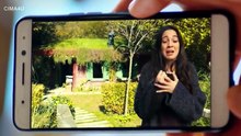 مسلسل لاتترك يدي الحلقة 53
