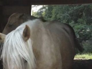 Four wheeler ride 019