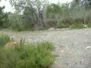 suite de la visite guide de doberland