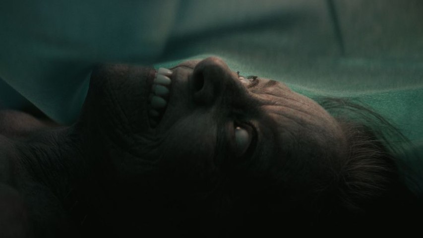 The Mortuary Assistant Trailer DF