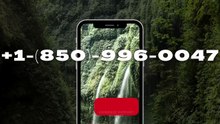 of trust Toll Free nUmbers in the USA: The Ultimate Explained Guide