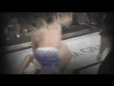 UFC 88: Chuck Liddell vs. Rashad Evans Indept Preview