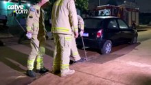 Filhote cai em bueiro e bombeiros quebram calçada durante tentativa de resgate