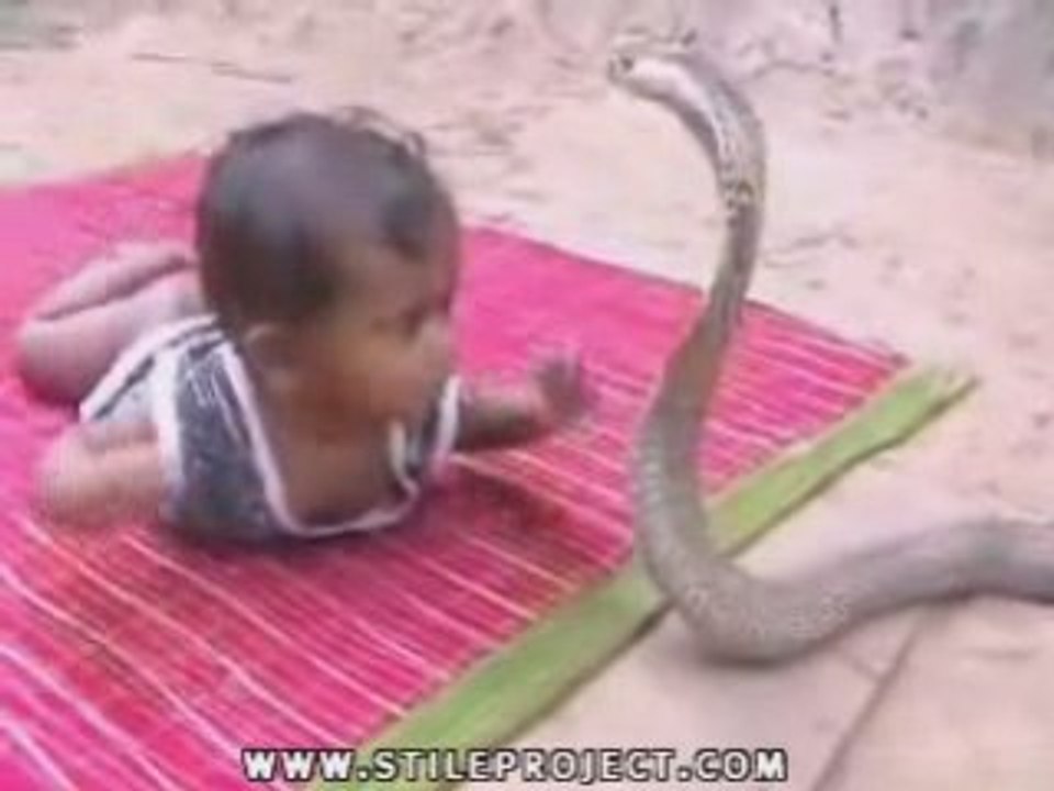 Cobra sans crochet et un enfant #AUCUN DANGER #
