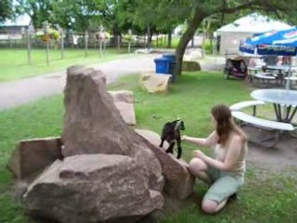 Bowmanville Zoo me and a Goat