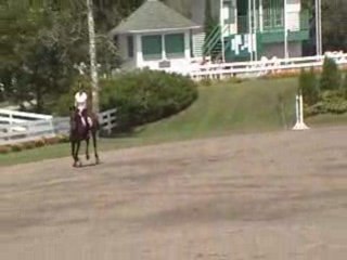 Aramisse des Pins et Moi  talent squad à blainville aout 08