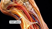 😳 Your Foot Is More Complex Than Most People Realize