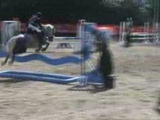 manon et tabasco a la fagne st remacle le 15 8 08