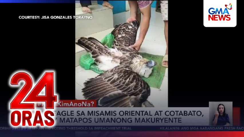 Philippine eagle sa Misamis Oriental at Cotabato, nasawi matapos umanong makuryente | 24 Oras
