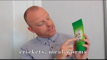 Tiny Tim Does a Bushtucker Trail | Comedy Challenge and Funny Reaction