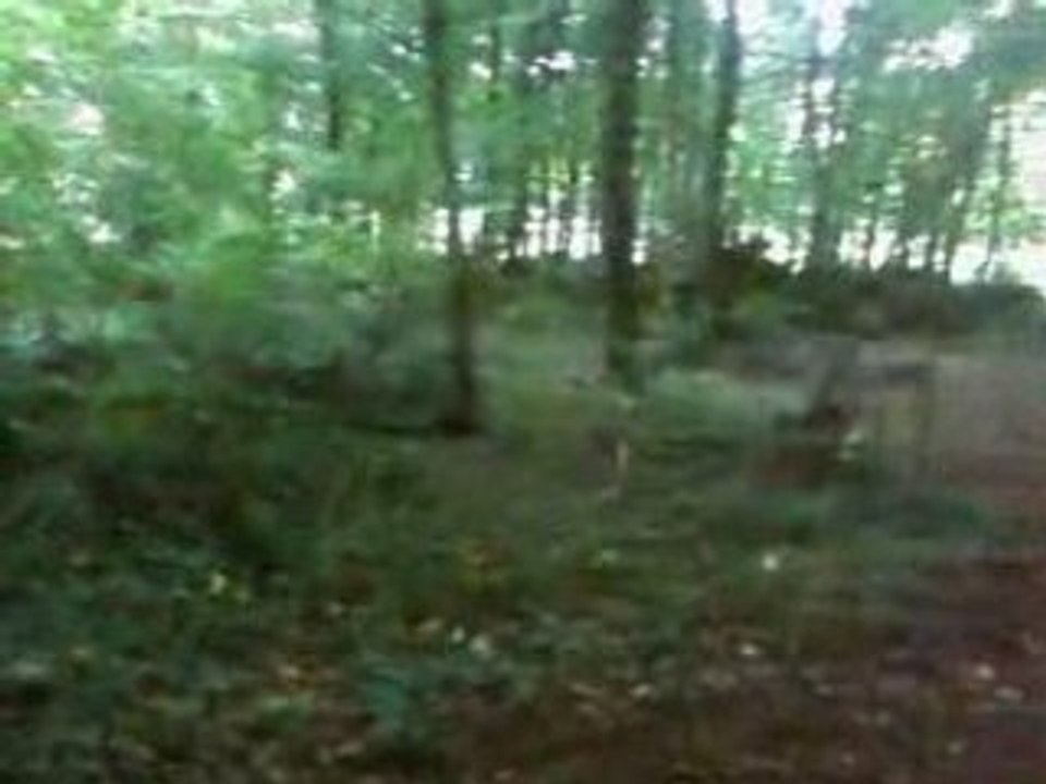 Moi en pit bike