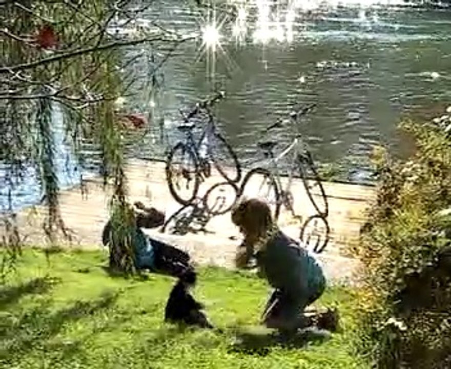 n°14 (2è partie)