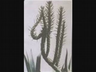 L'Unicité de Dieu (3ème partie)