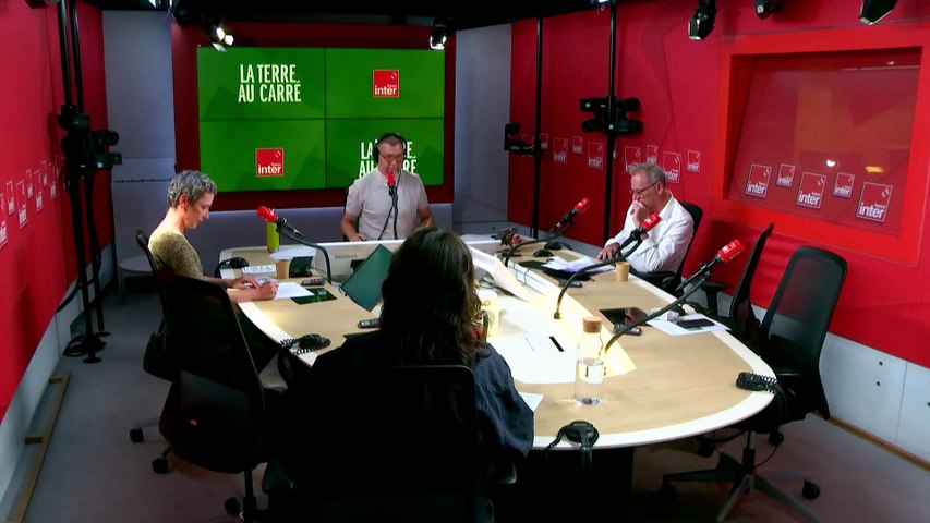 La France réduit enfin les niveaux de cadmium autorisés dans les engrais -Tout va bien dans ce monde