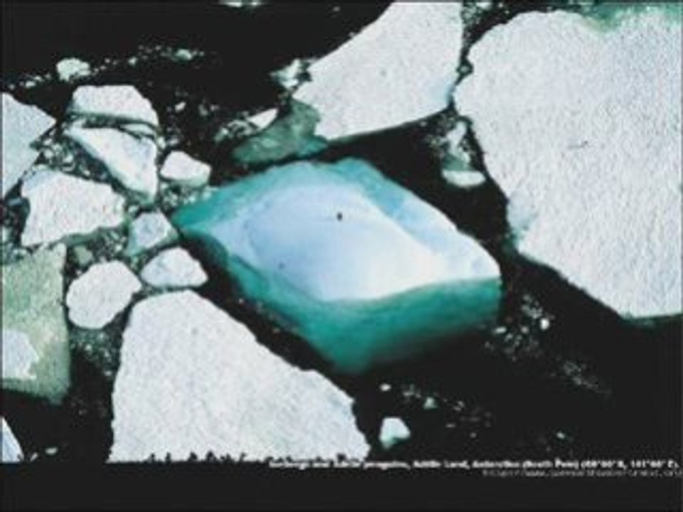 Ecologie RADIOHEAD