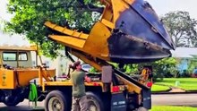 How A 40 Foot Tree Is Dug Up In 30 Seconds | Massive Tree Spade Machine