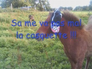 Vidéo de ulysse_0001