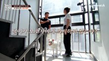 "나도 널 물 수 있어" 무법지대 정리하는 개통령 강형욱