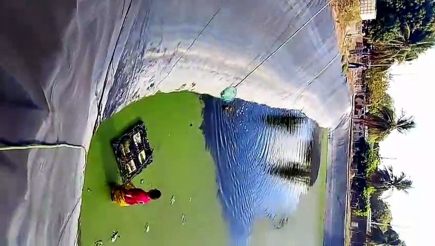Bombeiros resgatam quatro cães presos em reservatório em Maracanaú