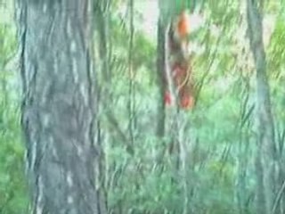 Crash st vincent les forts