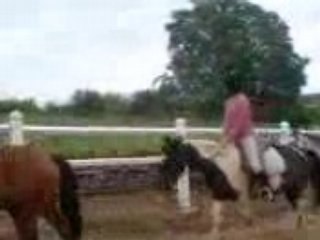 stage Pépite galop 3/4 (la suite 3)