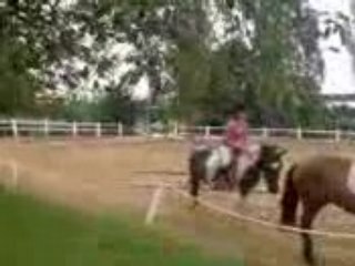 stage Pépite galop 3/4 (la suite 2)