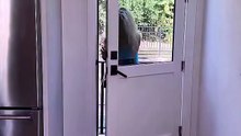 #sneakylink #reels #fyp #viral #funny