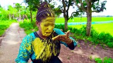 Best funny comedy video