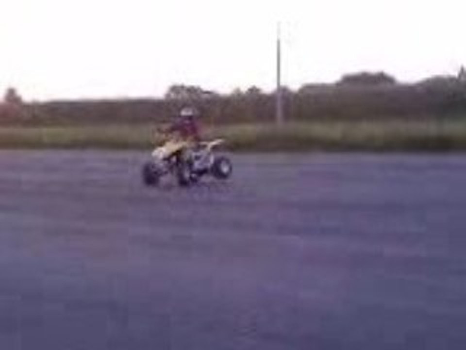 SEB