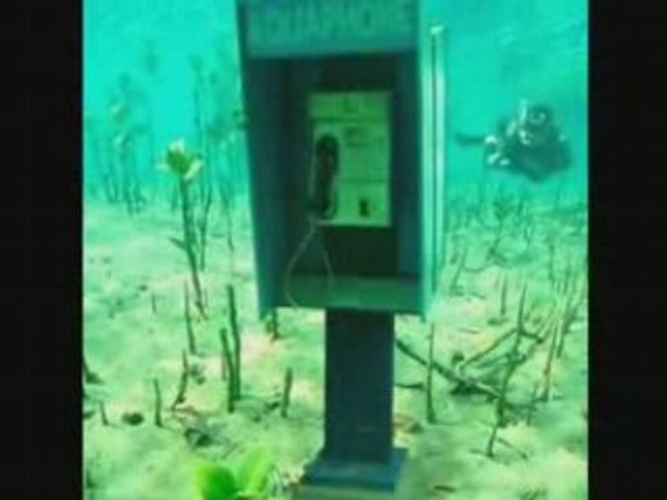 Les 2 minutes du peuple des étoiles XXIII