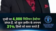 हमारे जंगल || आचार्य प्रशांत